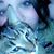 Samanatha Occhiuzzo's profile image