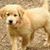 Maggie Beck's profile image