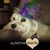 Madge Dubuc's profile image