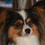 Jane Arnold Sirkoch's profile image