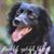 Robin Miller Murdock's profile image