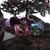 Maryann Vitelli Lacey's profile image