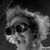 Jeff Edmunds's profile image