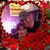 Tammy Kline's profile image
