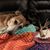 Denise Khouri's profile image