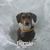 Rita Bomher's profile image