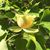Cheryl Snider's profile image