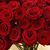 Manal Beiruti's profile image