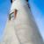 Carol S Collins's profile image