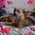 Terry Loveless's profile image