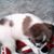 Cherie Marshall's profile image
