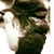 Wendy Carroll Fettig's profile image