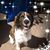 Jill Ridgley's profile image