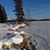 Coleen Straiton Kellen's profile image