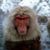 Blanca Sinclair's profile image