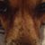 Kevin Thornton's profile image