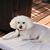 Deb Churchwell's profile image