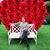 Maggie Dobrowolska's profile image