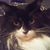 Shane Soule's profile image