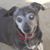 Patricia Folan's profile image