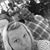 Pamela Brooks Lewis's profile image