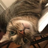 Judy Toner's profile image