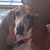 Doris Hunt's profile image
