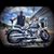 Joe D'Amore Sr.'s profile image