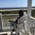 Georgetta Bohl's profile image