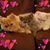 Christina Lorsch Pelley's profile image