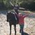 Astrid Dalley's profile image