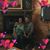 Susie Rose's profile image