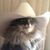 Enrique V. Cruz's profile image