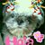 Normys Prieto Nieto's profile image
