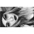 Shey Tocao Lluch's profile image