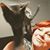 Beth Madsen Bradford's profile image