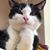 C Deneen Murray's profile image