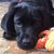 Karen Rick Van Buren-Abbott's profile image