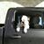 Jimmy Quesenbury's profile image
