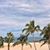Susan Hays Pavlos's profile image