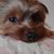 Christina Zaharis's profile image