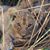 Jill Tonkin's profile image
