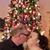 Toni L. Mullinax's profile image