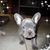 Janice Crow-Roberts's profile image