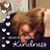 Pat Hamilton's profile image