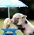 Chip Hughlett's profile image