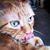 Kristina Hickman's profile image