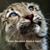 Simone Kilinger's profile image