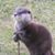 Jeffry Hunt's profile image