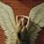 Angel Freeman's profile image